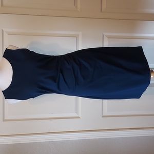 Kenneth Cole Ladies Sleeveless Dress Size 6